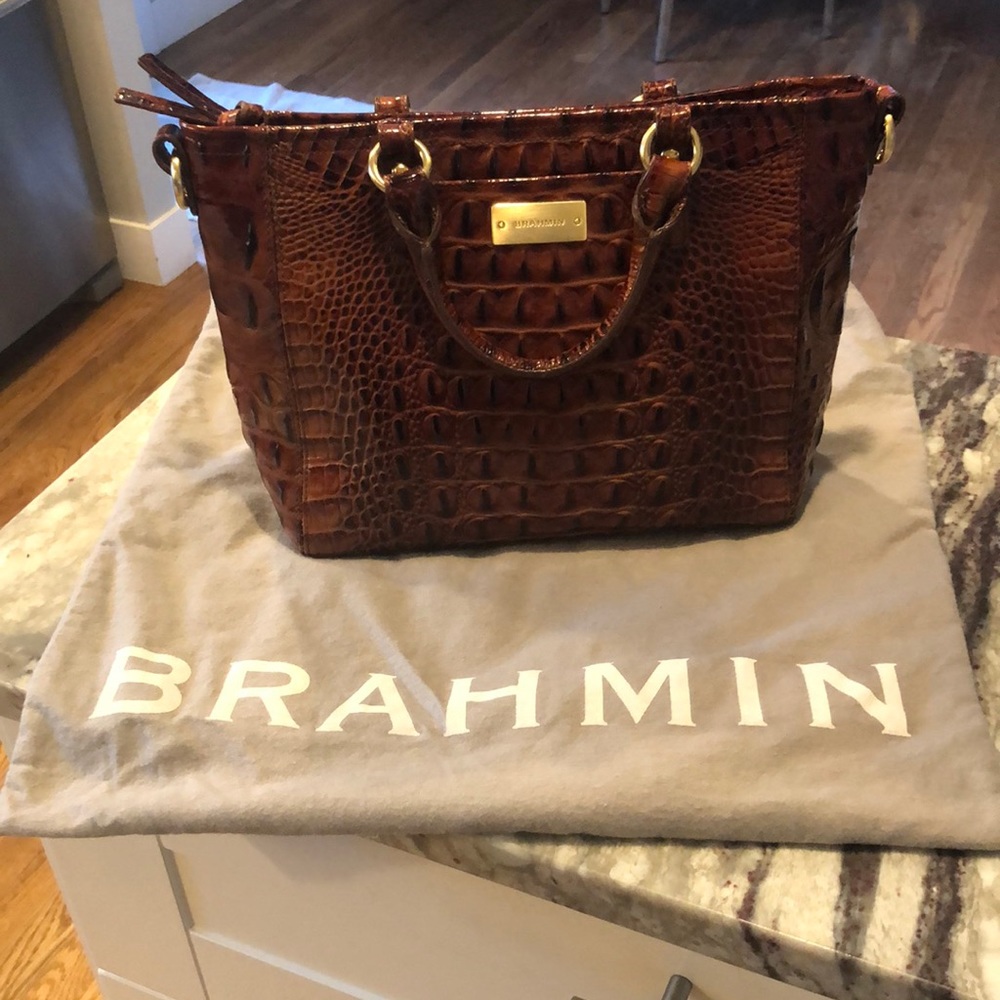 Mini Arno Brahmin Handbag